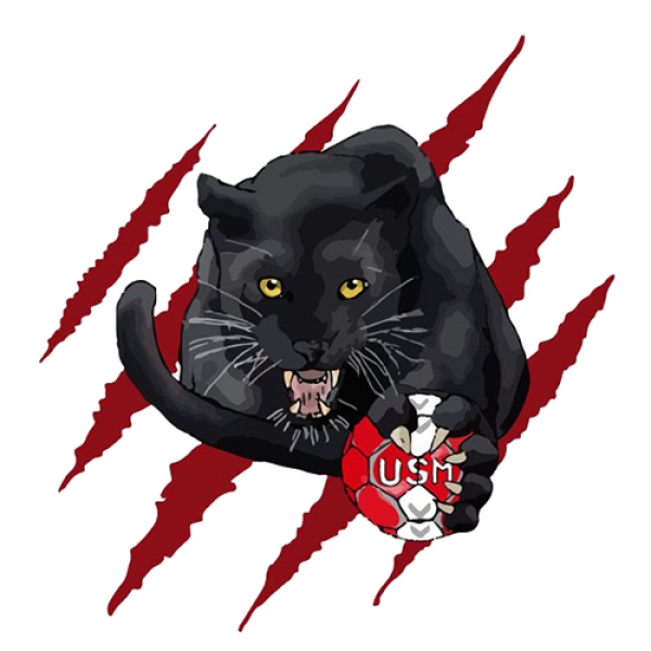 Union Sud Mayenne Handball