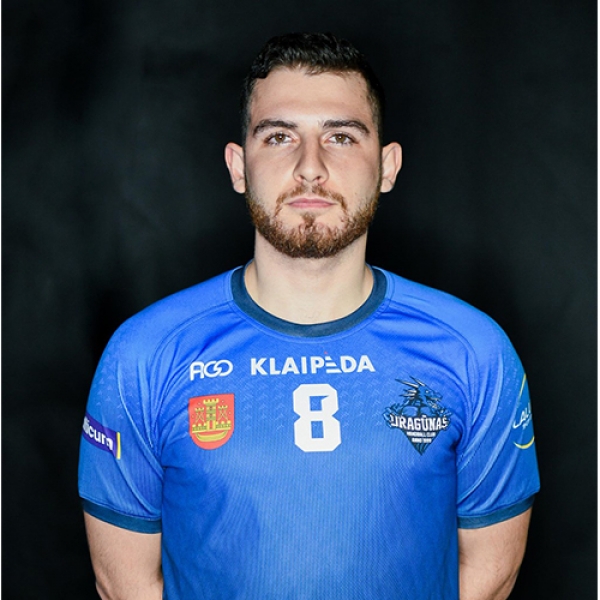 Sayed Navid Naghavialhosseini