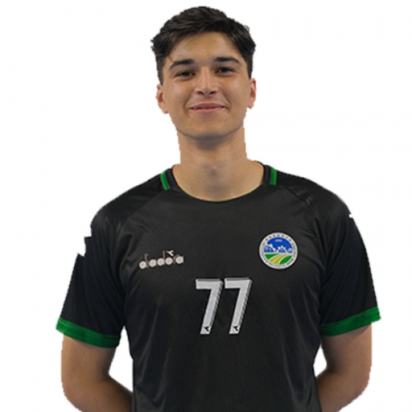 Kadir Vedat Herseklioglu