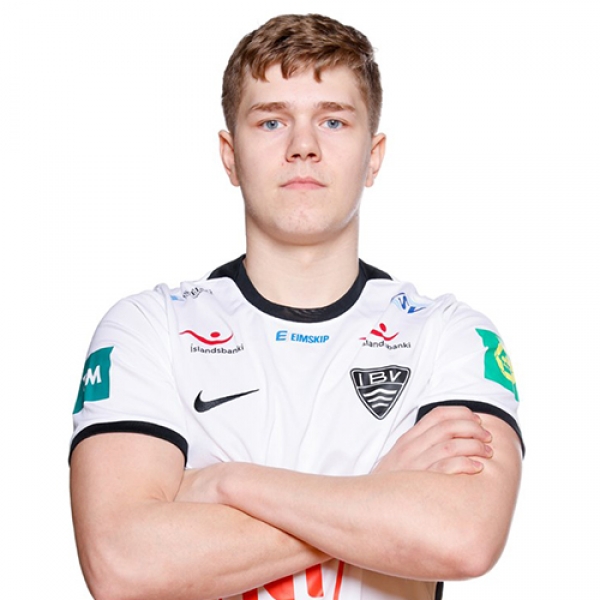 Andri Snaer Andersen