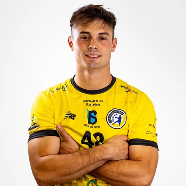 Pedro Ibarra