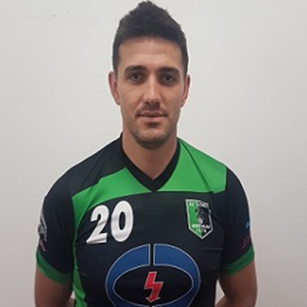 Dragan Radisavljević