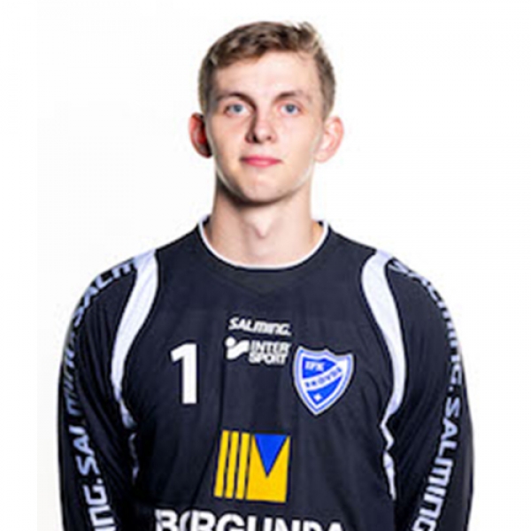 Victor Skjellerup Bang