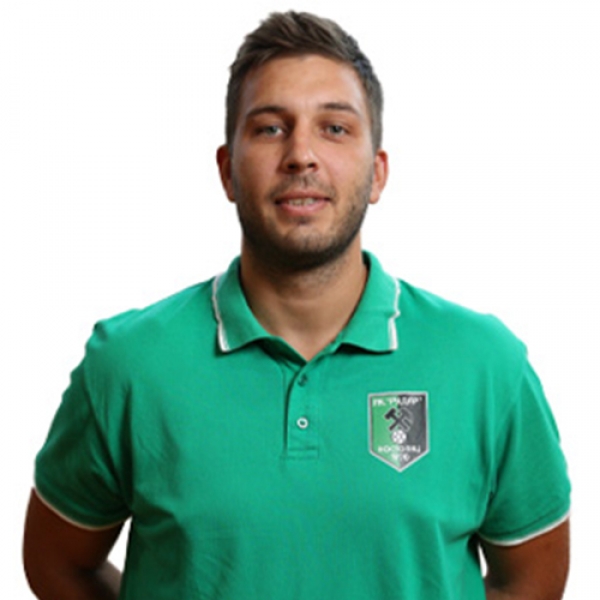 Vladimir Dimitrijević